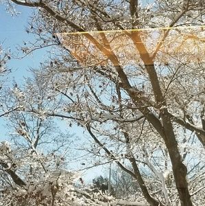 Meet your Posher, Stacy